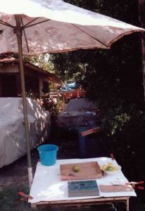 More Nights on Maui_ Getting My Story Straight from Hawai_i_s Heart by Rosalind Everard, fictionalized memoir